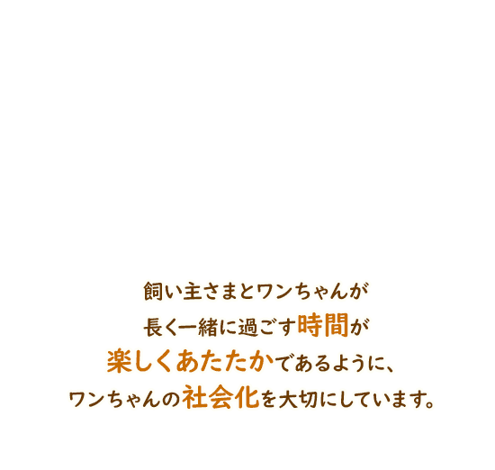 ワンちゃんの社会化を大切にしています。